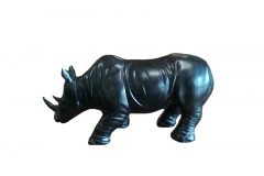 Rhinocéros